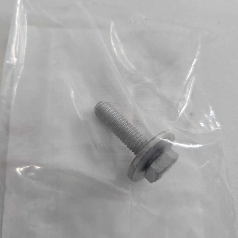Cover Screw Under The Enginge Citroen C5 III 6923.C3